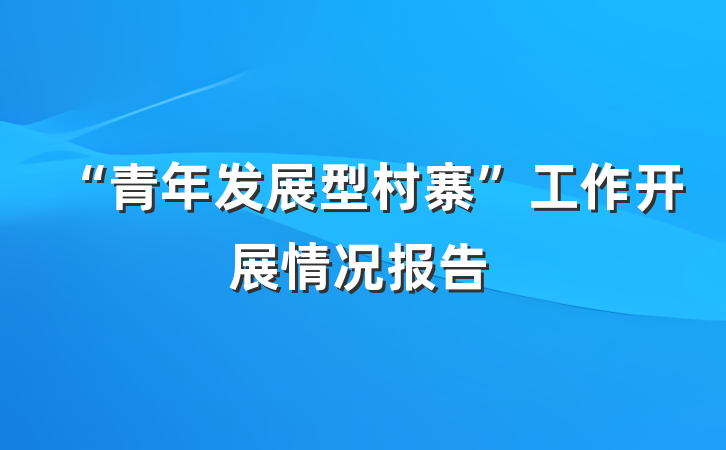 “青年发展型村寨”工作开展情况报告
