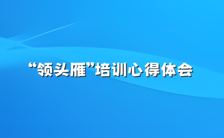 “领头雁”培训心得体会