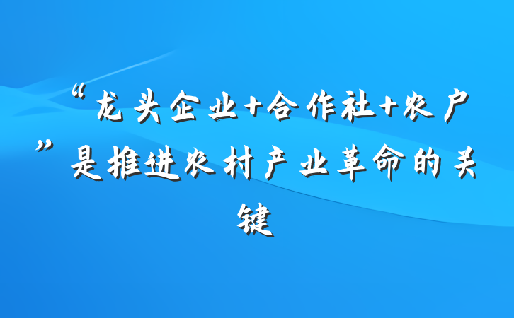 “龙头企业+合作社+农户”是推进农村产业革命的关键