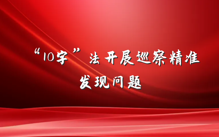 “10字”法开展巡察精准发现问题