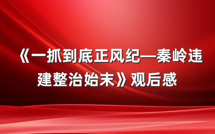《一抓到底正风纪—秦岭违建整治始末》观后感