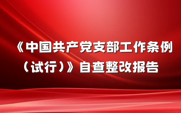 《中国共产党支部工作条例（试行）》自查整改报告
