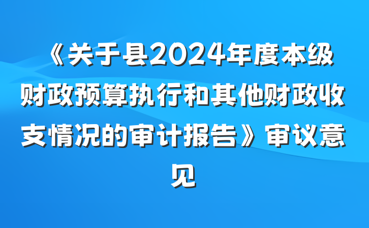 《关于县2024年度本级财政预算执行和其他财政收支情况的审计报告》审议意见