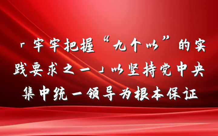「牢牢把握“九个以”的实践要求之一」以坚持党中央集中统一领导为根本保证
