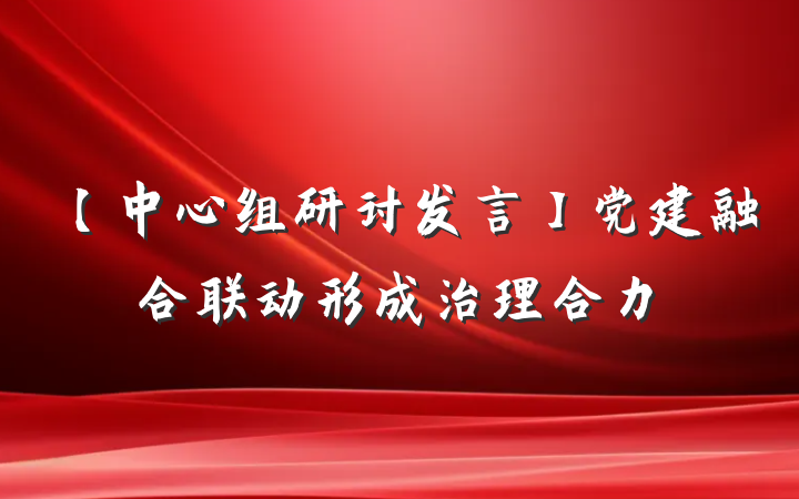 【中心组研讨发言】党建融合联动形成治理合力
