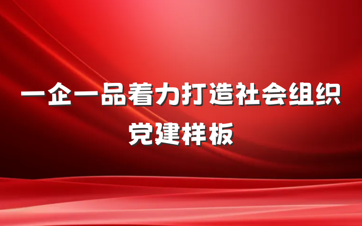 一企一品着力打造社会组织党建样板