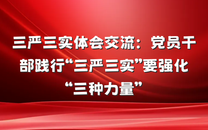 三严三实体会交流：党员干部践行“三严三实”要强化“三种力量”