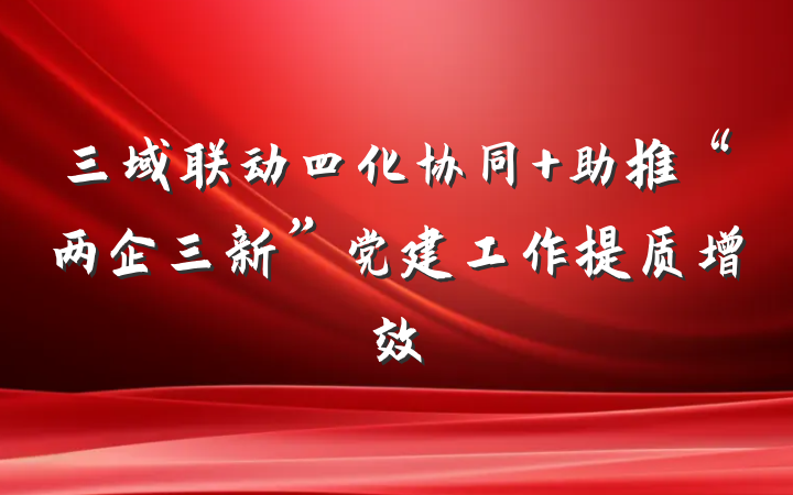 三域联动四化协同 助推“两企三新”党建工作提质增效