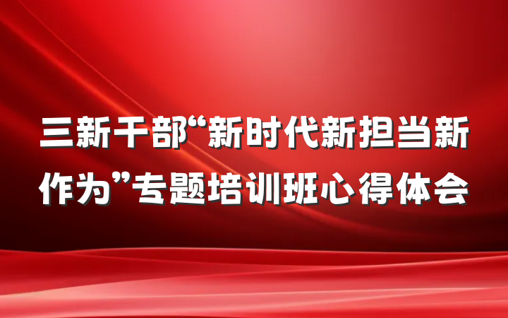 三新干部“新时代新担当新作为”专题培训班心得体会