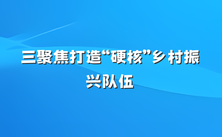 三聚焦打造“硬核”乡村振兴队伍