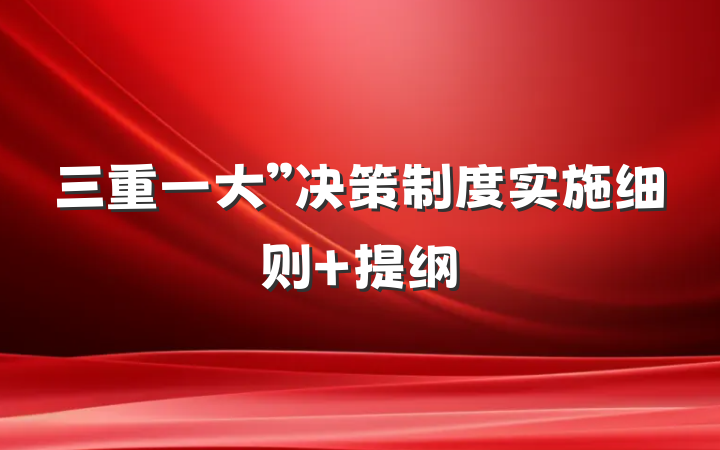 三重一大”决策制度实施细则 提纲
