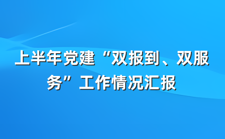 上半年党建“双报到、双服务”工作情况汇报