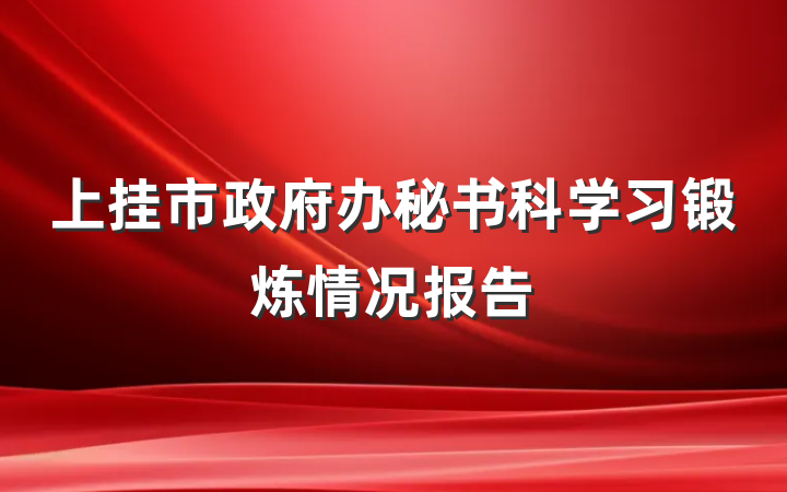 上挂市政府办秘书科学习锻炼情况报告
