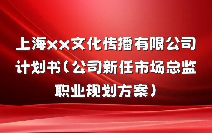 上海xx文化传播有限公司计划书（公司新任市场总监职业规划方案）