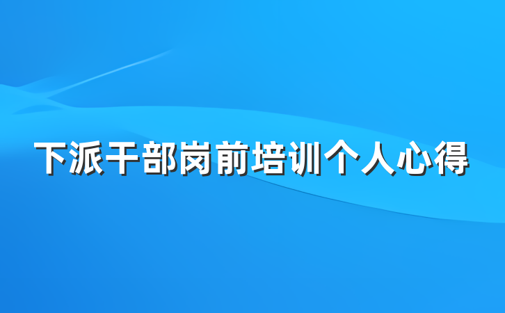 下派干部岗前培训个人心得