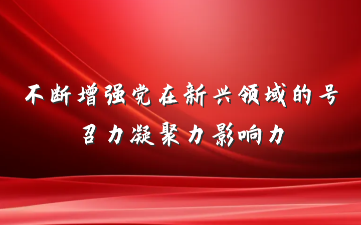不断增强党在新兴领域的号召力凝聚力影响力