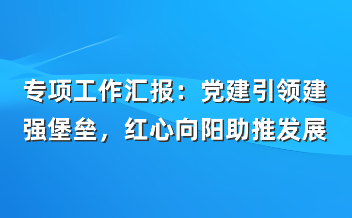 专项工作汇报：党建引领建强堡垒，红心向阳助推发展