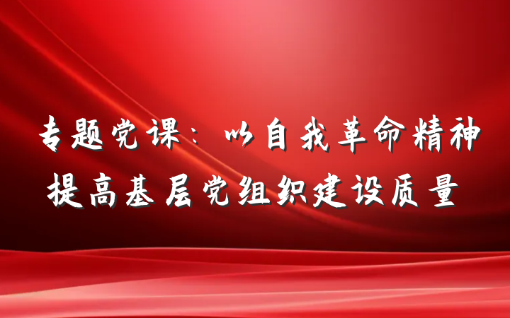 专题党课：以自我革命精神提高基层党组织建设质量