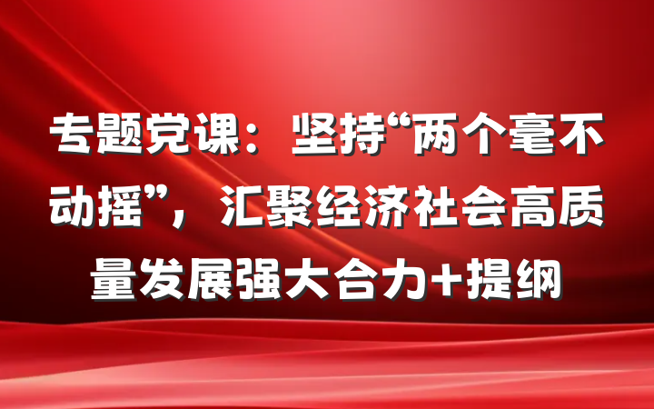 专题党课：坚持“两个毫不动摇”，汇聚经济社会高质量发展强大合力 提纲