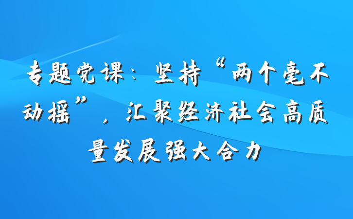 专题党课：坚持“两个毫不动摇”，汇聚经济社会高质量发展强大合力