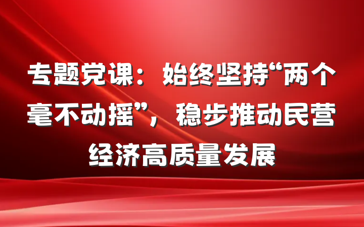 专题党课：始终坚持“两个毫不动摇”，稳步推动民营经济高质量发展