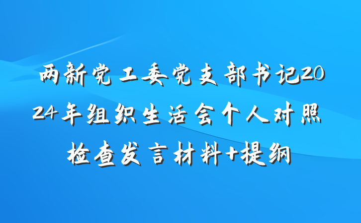 两新党工委党支部书记2024年组织生活会个人对照检查发言材料 提纲