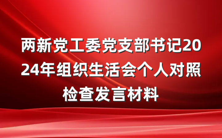 两新党工委党支部书记2024年组织生活会个人对照检查发言材料