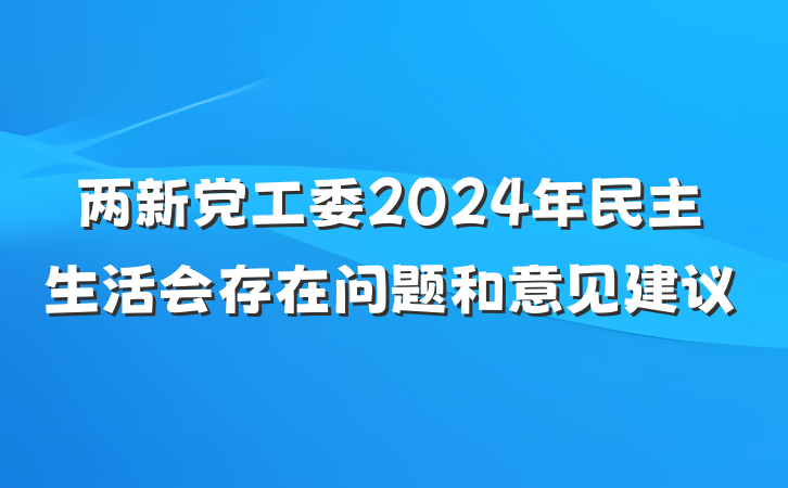 两新党工委2024年民主生活会存在问题和意见建议
