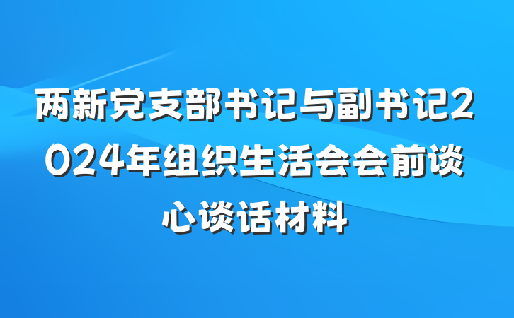 两新党支部书记与副书记2024年组织生活会会前谈心谈话材料