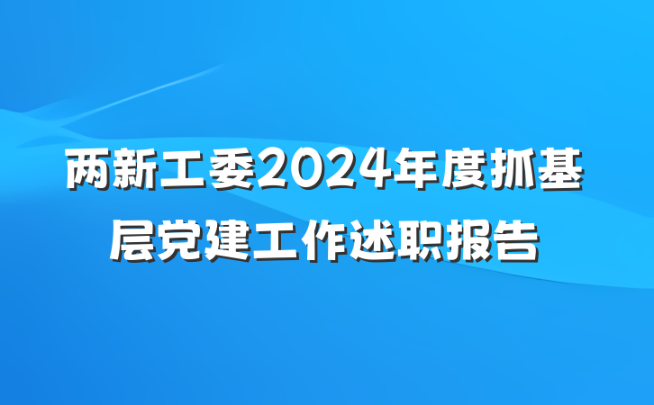 两新工委2024年度抓基层党建工作述职报告