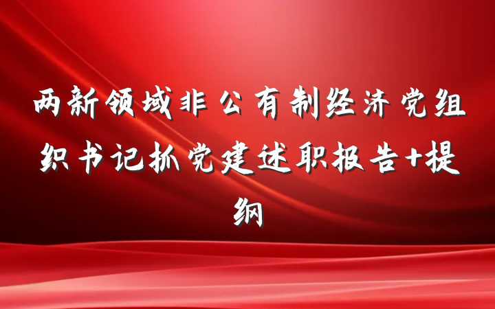 两新领域非公有制经济党组织书记抓党建述职报告 提纲