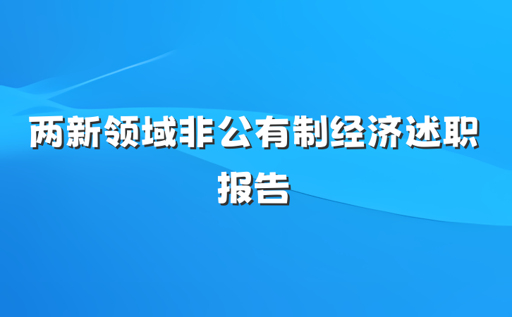 两新领域非公有制经济述职报告