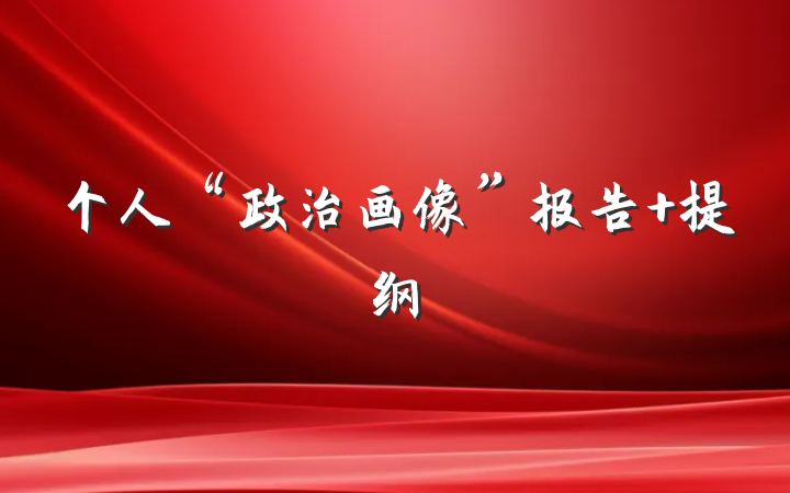 个人“政治画像”报告 提纲