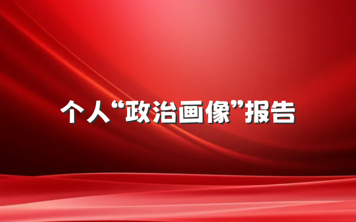 个人“政治画像”报告