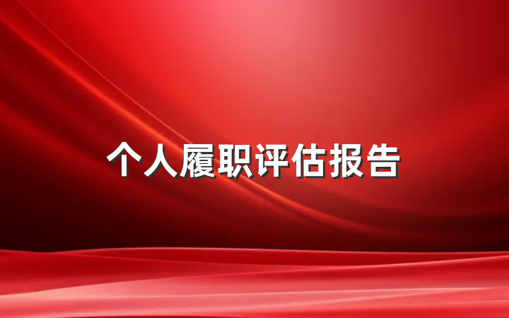 个人履职评估报告