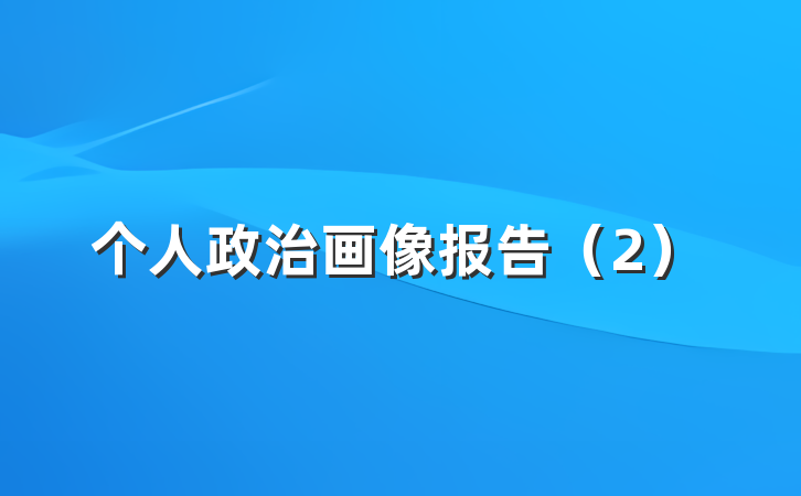 个人政治画像报告（2）