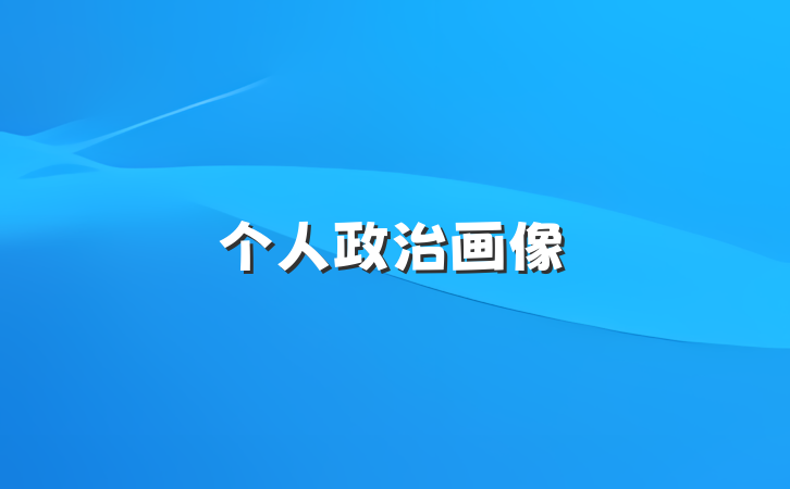 个人政治画像