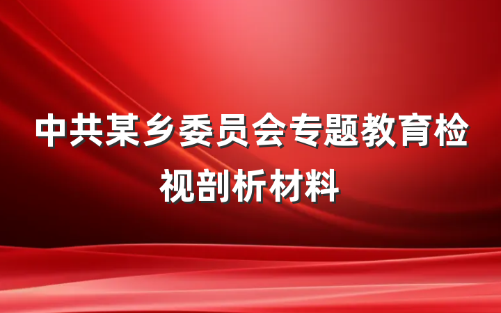 中共某乡委员会专题教育检视剖析材料