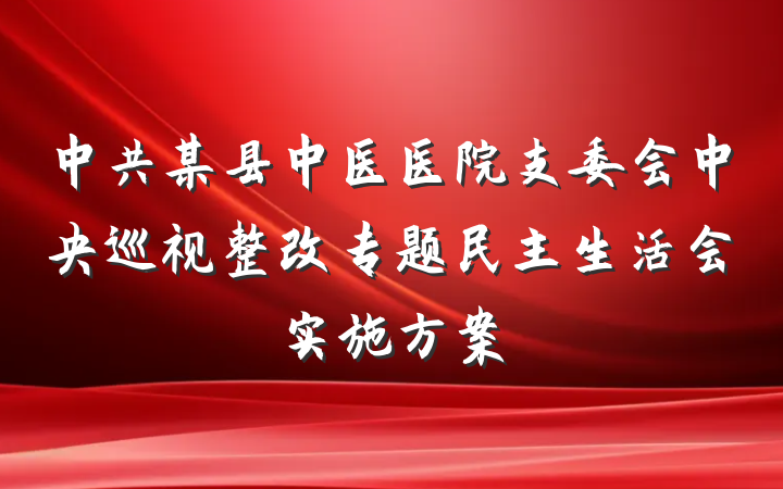 中共某县中医医院支委会中央巡视整改专题民主生活会实施方案