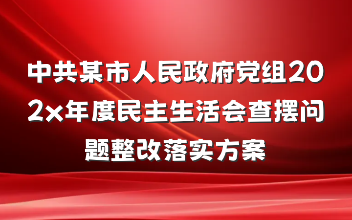 中共某市人民政府党组202x年度民主生活会查摆问题整改落实方案