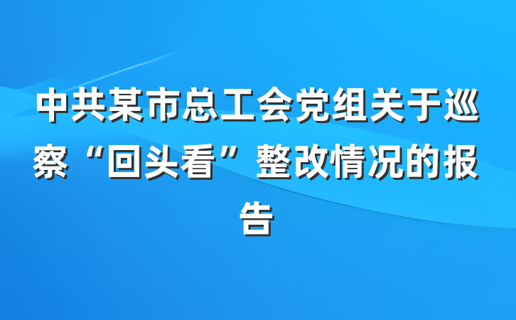 中共某市总工会党组关于巡察“回头看”整改情况的报告