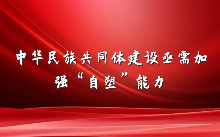 中华民族共同体建设亟需加强“自塑”能力