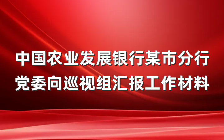 中国农业发展银行某市分行党委向巡视组汇报工作材料