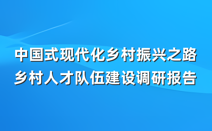 中国式现代化乡村振兴之路乡村人才队伍建设调研报告