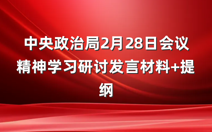 中央政治局2月28日会议精神学习研讨发言材料 提纲