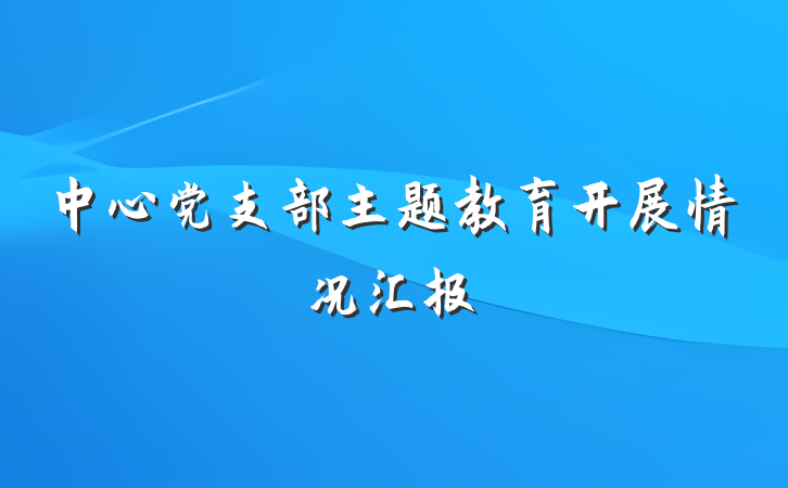 中心党支部主题教育开展情况汇报