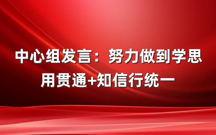中心组发言：努力做到学思用贯通 知信行统一