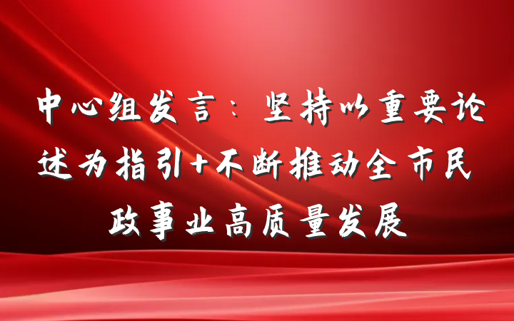 中心组发言：坚持以重要论述为指引 不断推动全市民政事业高质量发展