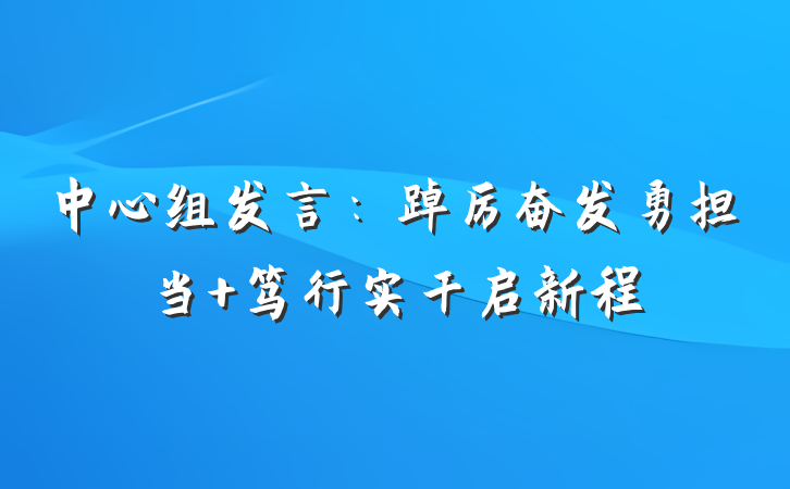 中心组发言：踔厉奋发勇担当 笃行实干启新程