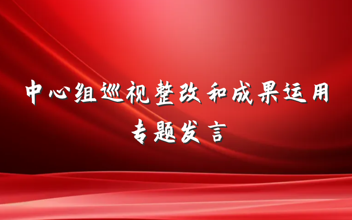 中心组巡视整改和成果运用专题发言